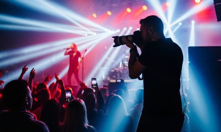 Case Studies of Successful Indie Artists